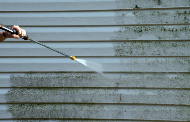 Best Mold Cleaning Services  in Cloverleaf, TX
