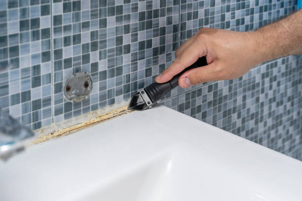 Best Commercial Mold Removal  in Cloverleaf, TX
