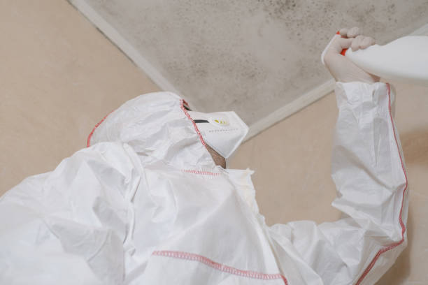 Best Mold Testing  in Cloverleaf, TX