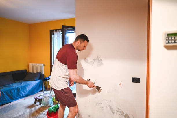 Best Toxic Mold Removal  in Cloverleaf, TX