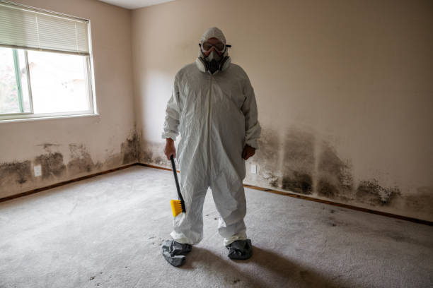 Water Damage Restoration in Cloverleaf, TX